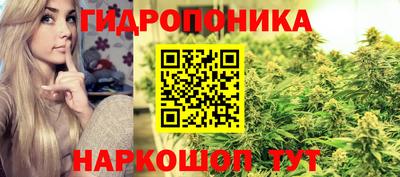 мяу мяу мука Бузулук