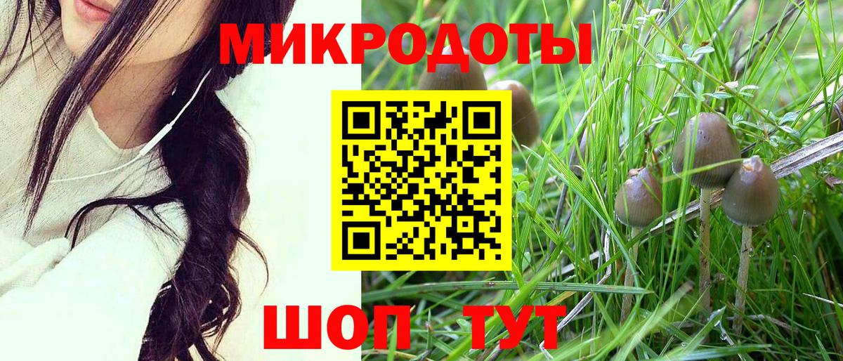 Галлюциногенные грибы Cubensis  наркота  Красноперекопск  Вход с VPN 