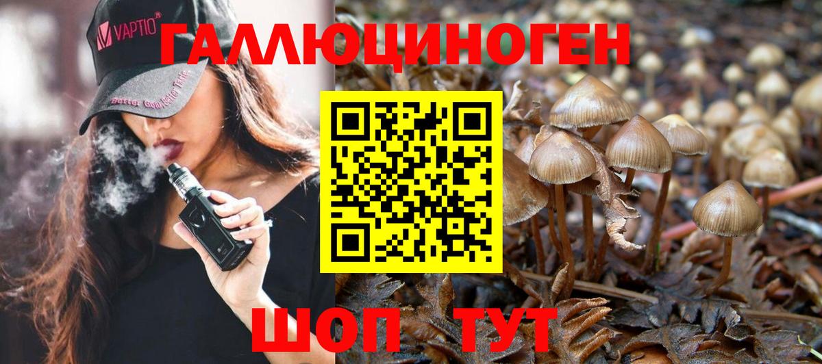 Псилоцибиновые грибы MAGIC MUSHROOMS Красноперекопск